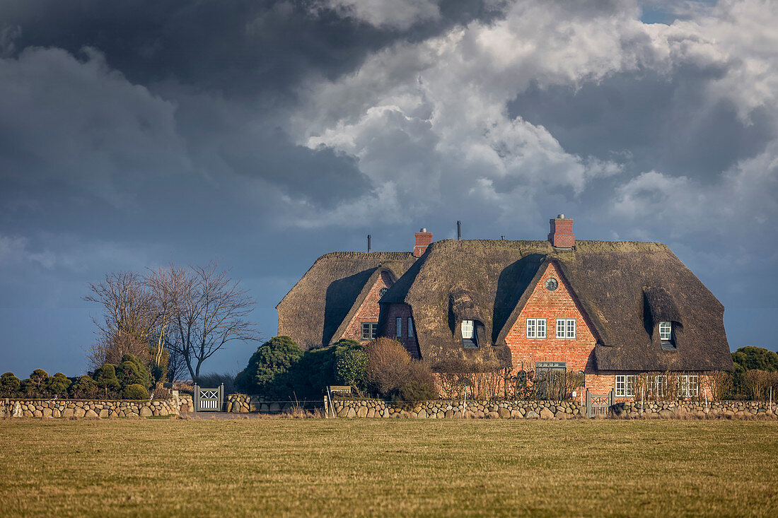 Thatched roof yards outside Kampen, Sylt, Schleswig-Holstein, Germany