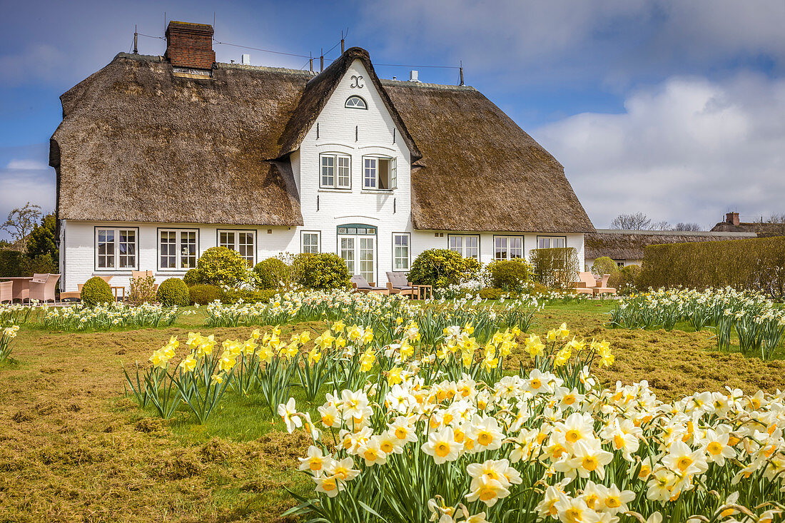 Historic thatched roof house in Keitum, Sylt, Schleswig-Holstein, Germany