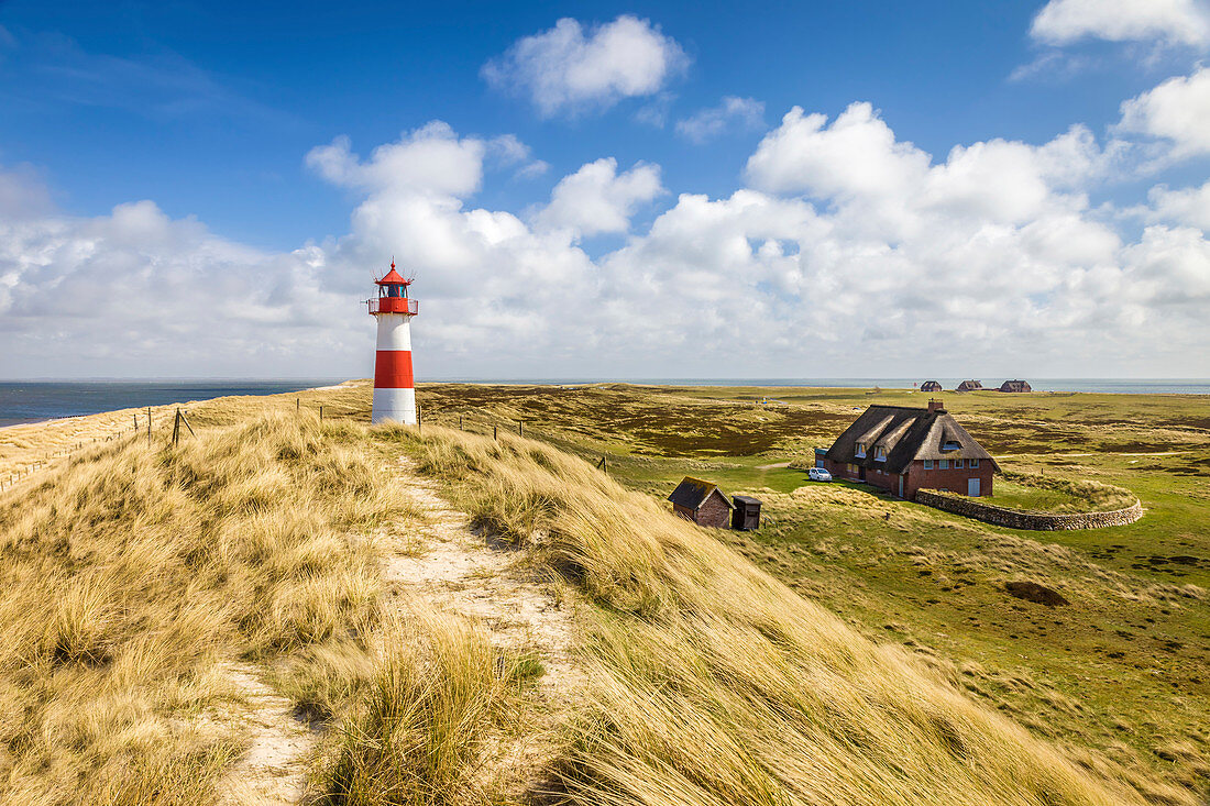 List-Ost lighthouse on the Ellenbogen Peninsula, Sylt, Schleswig-Holstein, Germany