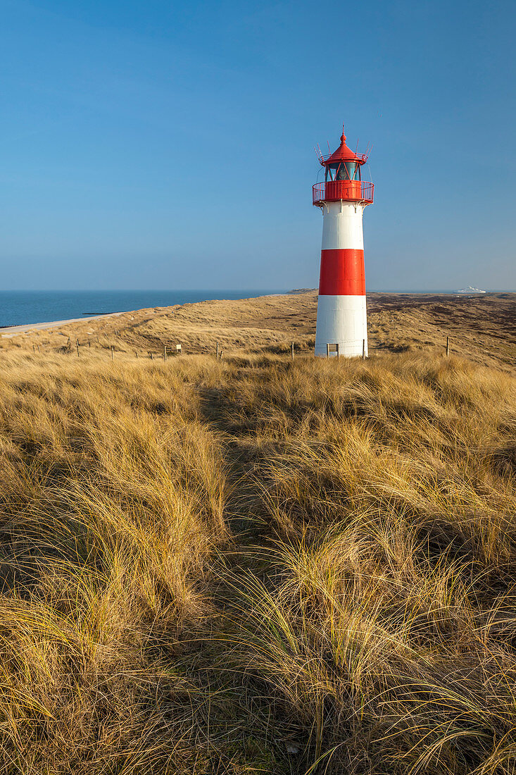 Path on the dune to the List-Ost lighthouse on the Ellenbogen Peninsula, Sylt, Schleswig-Holstein, Germany