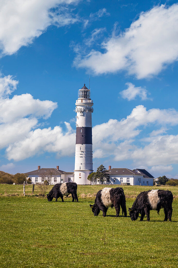 Leuchtturm Langer Christian in Kampen, Sylt, Schleswig-Holstein, Deutschland