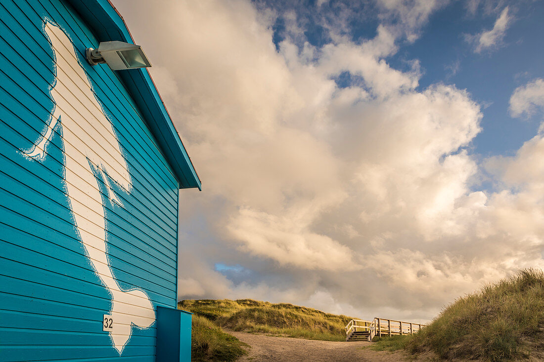 Painted beach wagon in the dunes of Wenningstedt, Sylt, Schleswig-Holstein, Germany