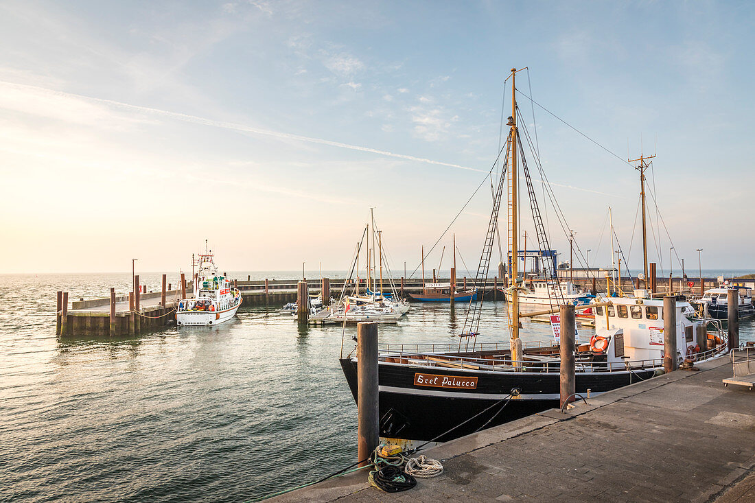 Morning mood in the port of List, Sylt, Schleswig-Holstein, Germany