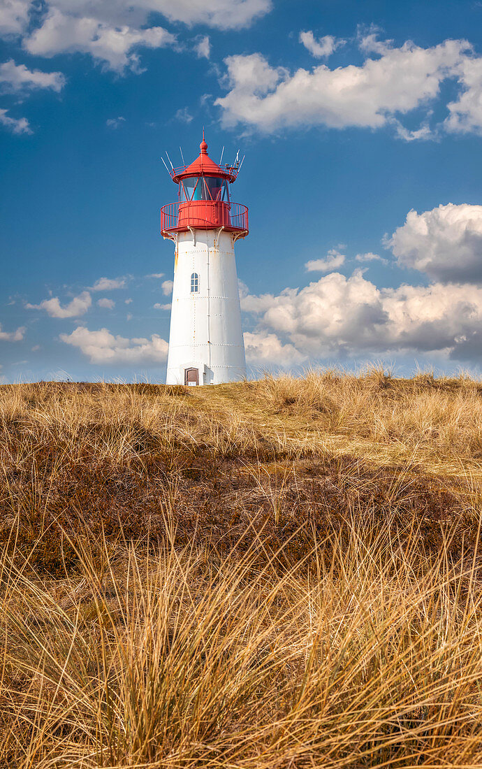 List-West lighthouse in the Ellenbogen Peninsula nature reserve, Sylt, Schleswig-Holstein, Germany