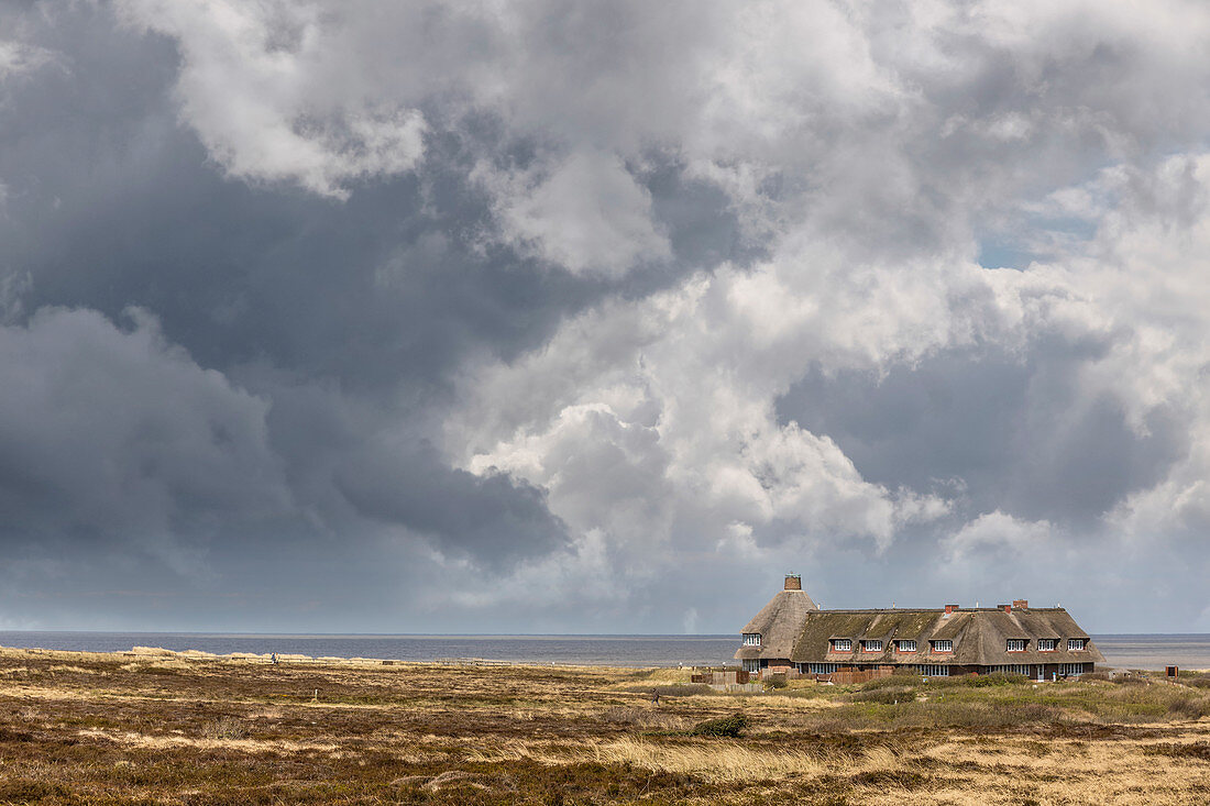 Haus Sturmhaube mit Regenwolken bei Kampen, Sylt, Schleswig-Holstein, Deutschland
