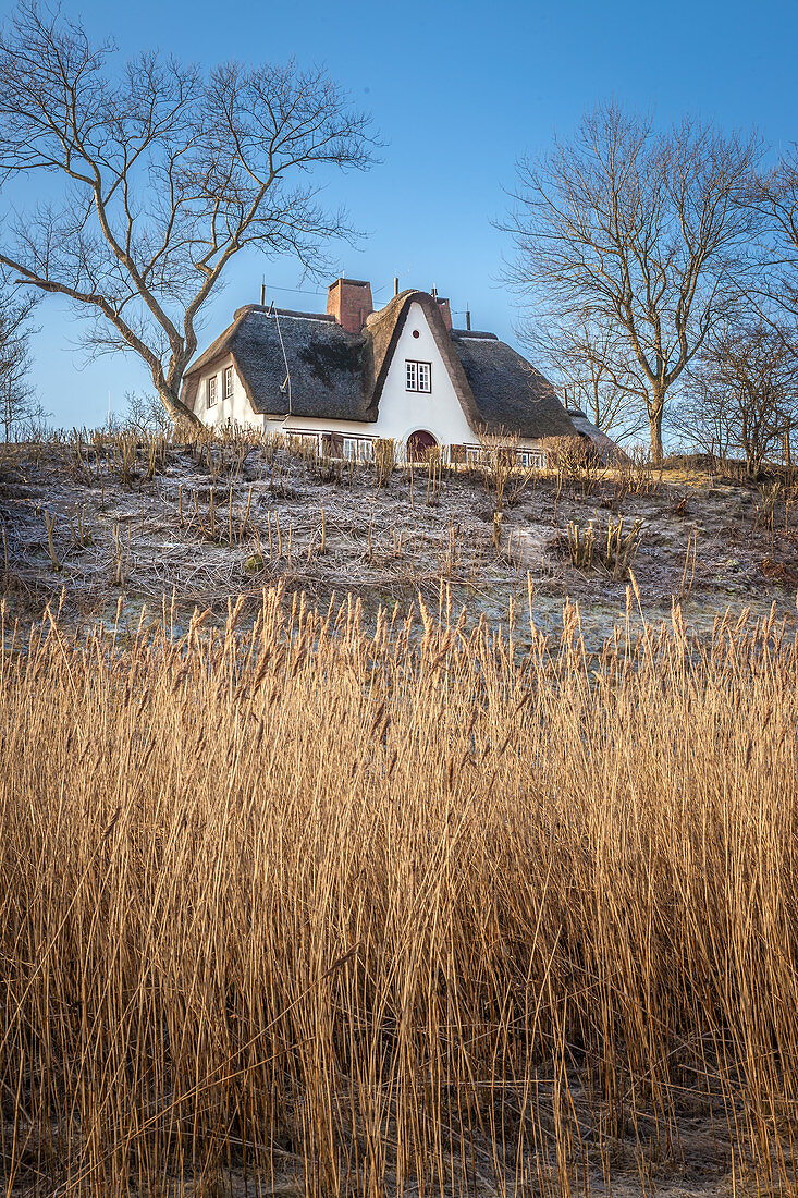 Thatched-roof house on the Wadden side of Keitum, Sylt, Schleswig-Holstein, Germany