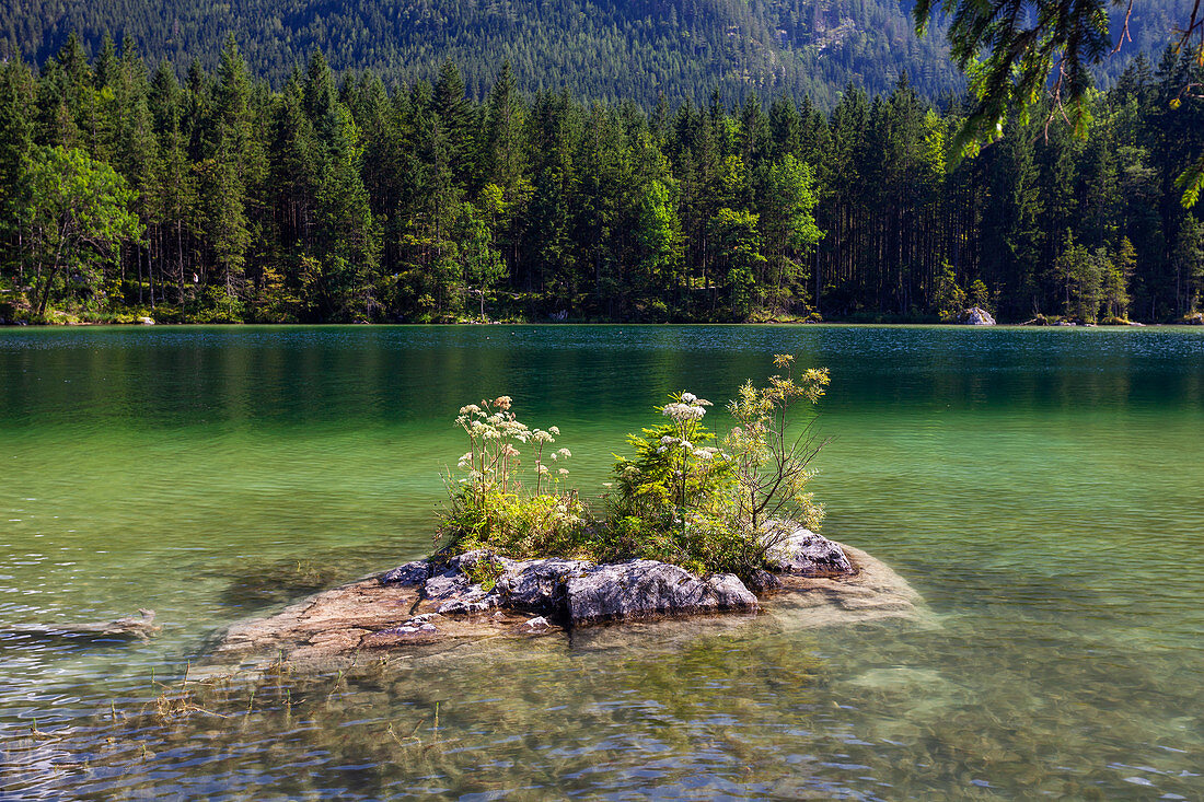 Small island in Hintersee, Ramsau, Berchtesgadener Land, Upper Bavaria, Alps, Germany