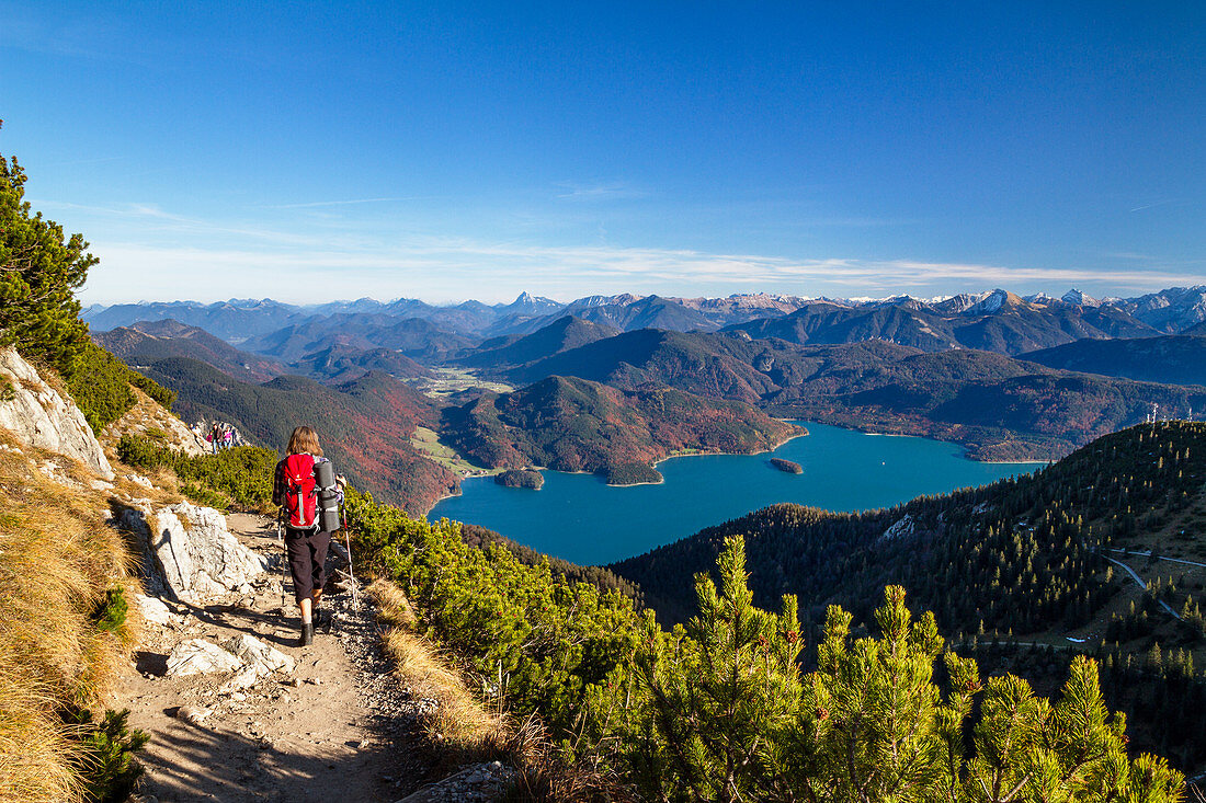 Walchensee im Herbst, Blick vom Herzogstand, Bayerische Voralpen, Alpen, Oberbayern, Deutschland