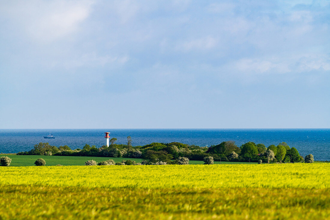 Blick über Felder auf den Leuchtturm in Heiligenhafen, Ostsee, Ostholstein, Schleswig-Holstein, Deutschland