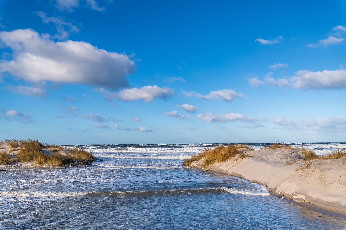 Sandy beach, Baltic Sea high water and dunes in Heiligenhafen, Ostholstein, Schleswig-Holstein, Germany