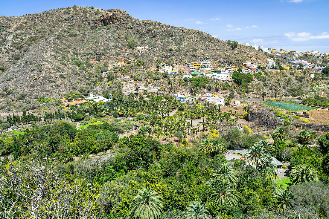 Sicht von oben auf botanischen Garten "Jardin Botanico", Gran Canaria, Spanien