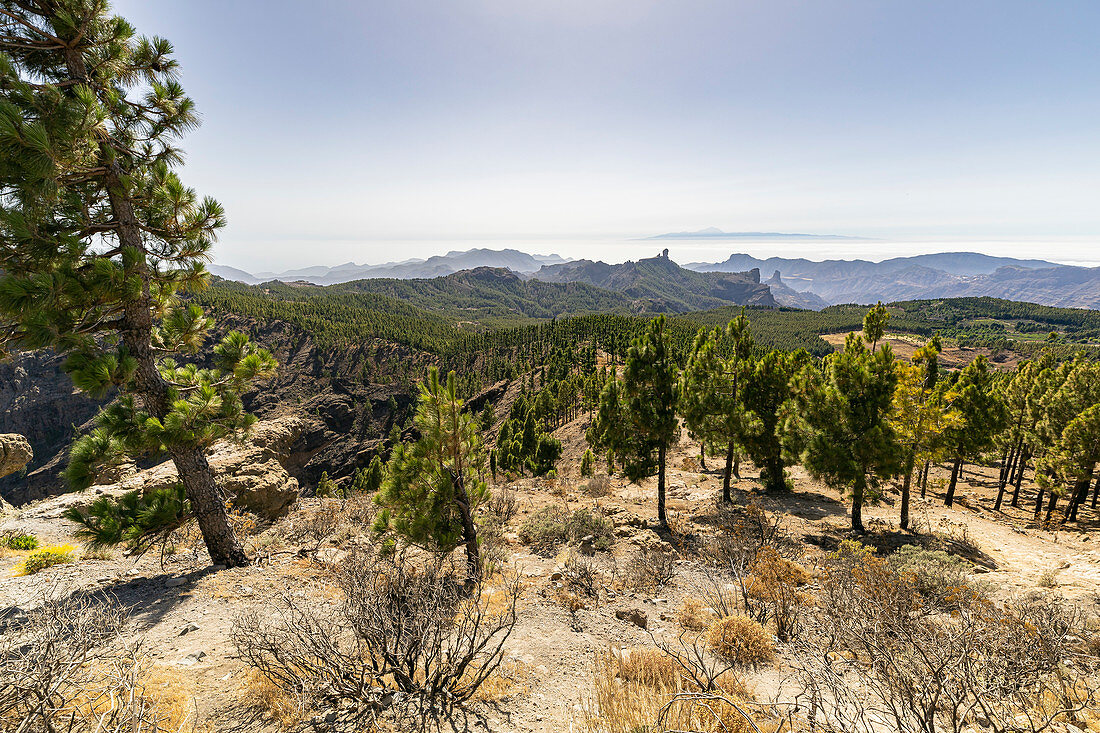 View from the &quot;Pico de las Nieves&quot; viewpoint in the high mountains of Gran Canaria, Spain