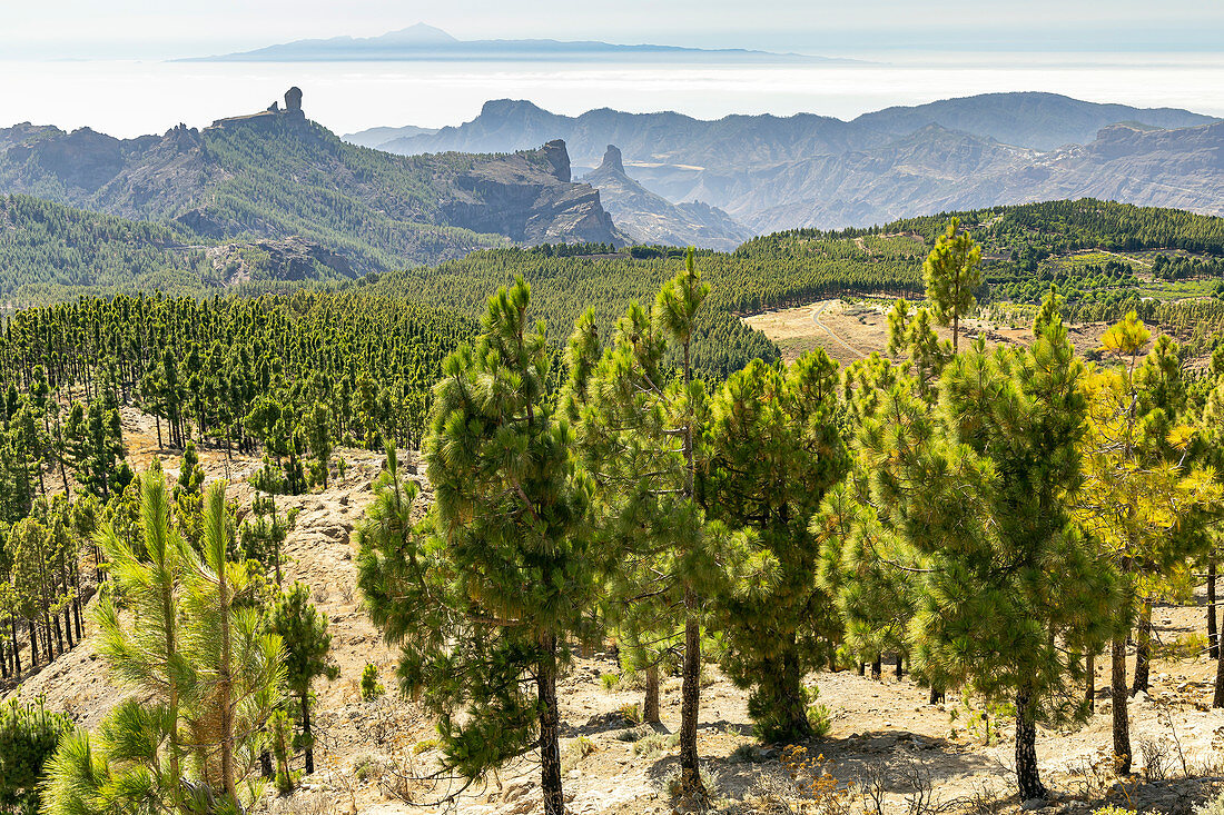 Sicht vom "Pico de las Nieves" Aussichtspunkt im Gebirge von Gran Canaria, Spanien