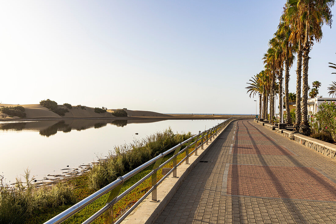 Lagoon on the dunes of Maspalomas in the morning light, Gran Canaria, Spain