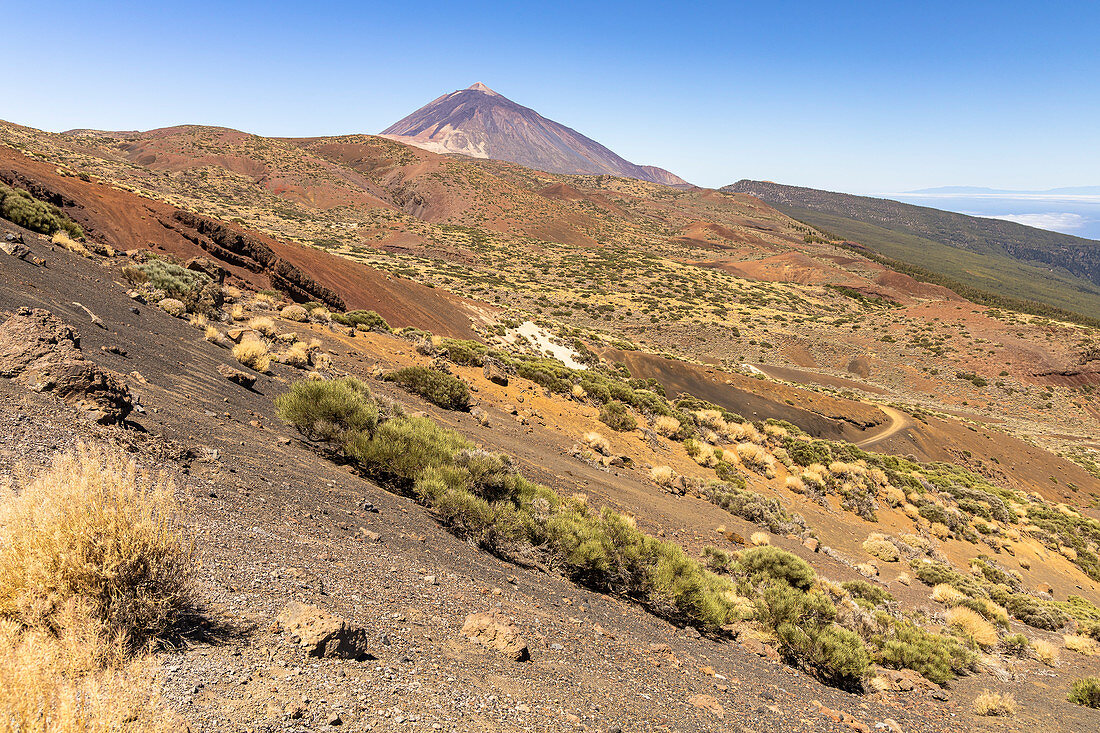 Landscape in El Teide National Park with a view of the top of the volcano, Tenerife, Spain