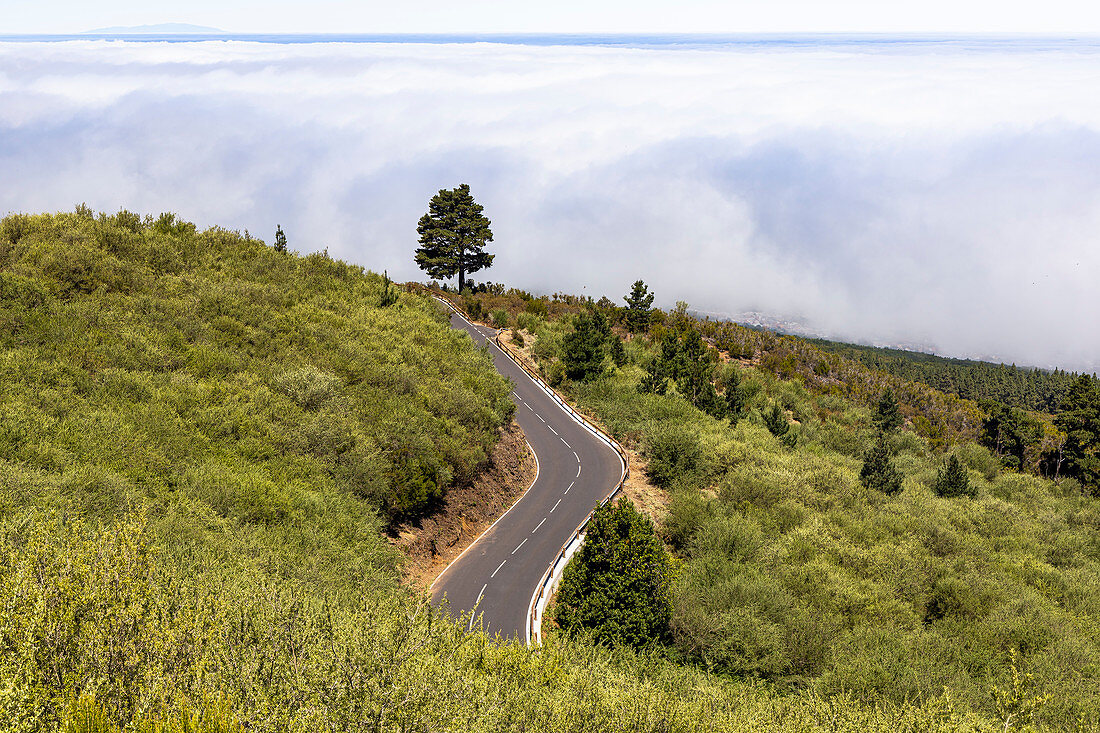 Cloud cover on the slope of the Teide volcano in Teide National Park, Tenerife, Spain