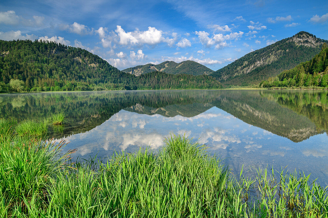 Mountains are reflected in the lake, Weitsee, Chiemgau Alps, Chiemgau, Upper Bavaria, Bavaria, Germany