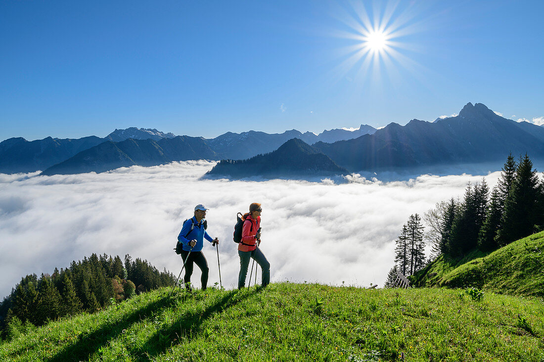 Man and woman hiking up over meadow, Nebelhorn and Höfats in the background, at Himmelschrofen, Allgäu Alps, Allgäu, Swabia, Bavaria, Germany