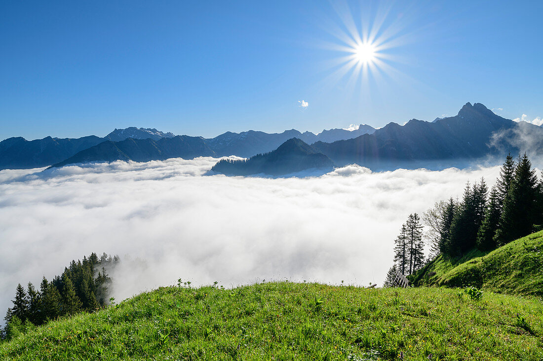 Sea of fog over Oberstdorf valley floor, Nebelhorn and Höfats in the background, at Himmelschrofen, Allgäu Alps, Allgäu, Swabia, Bavaria, Germany