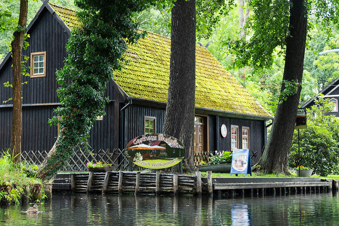 Gasthaus Blutnik, Lehde/Lübbenau, Spree, Brandenburg, Deutschland