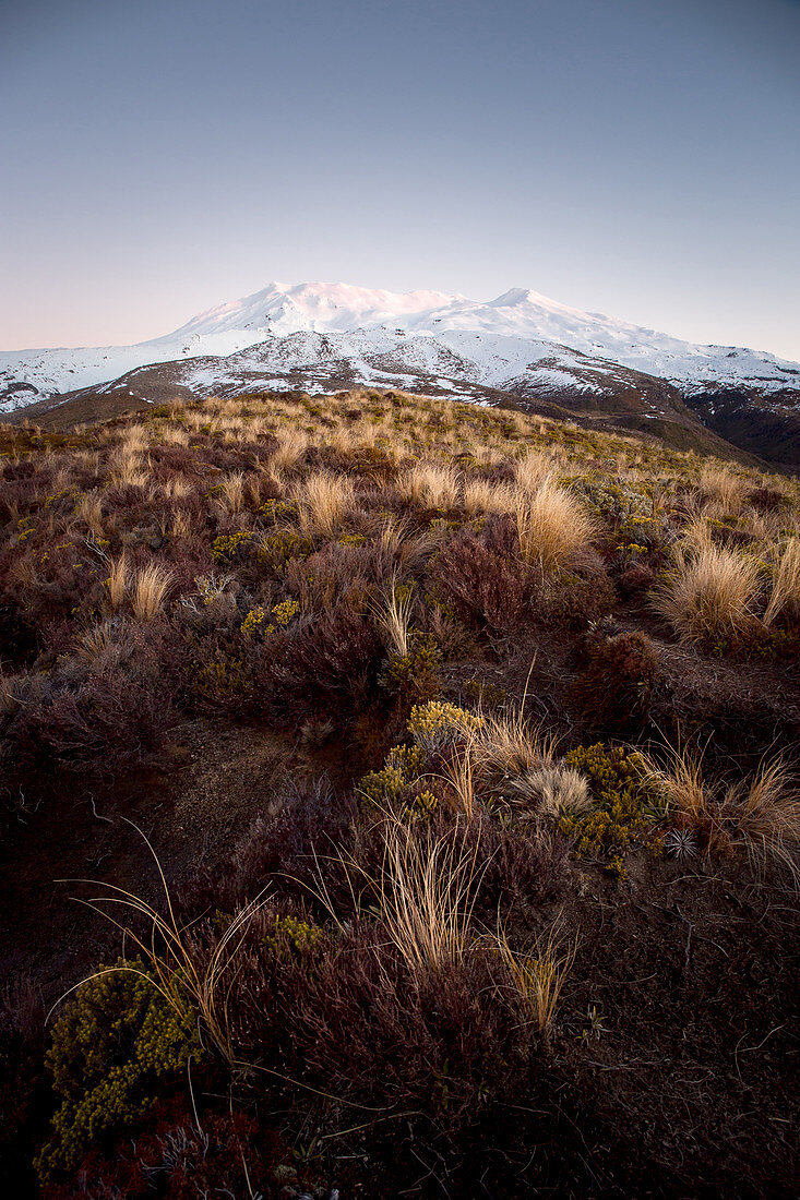 Sunset at Mount Ruapehu in the Taupo District, Tongariro National Park, New Zealand.