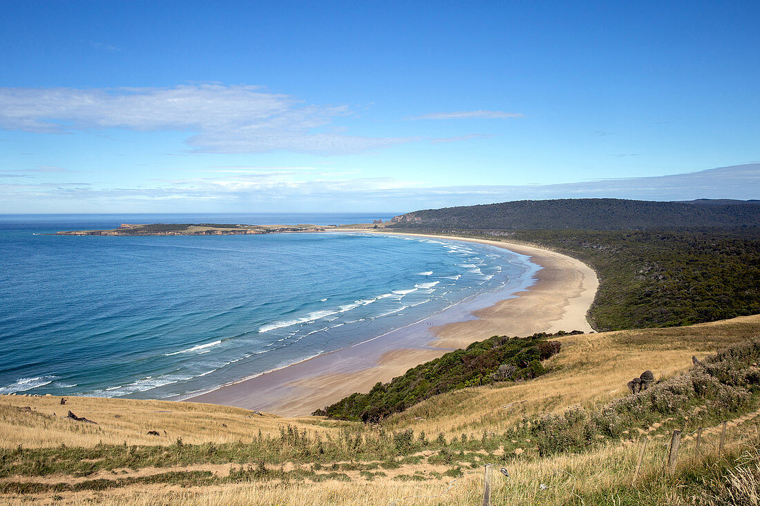 Florence Hill Lookout in den Catlins in Otago, Neuseeland