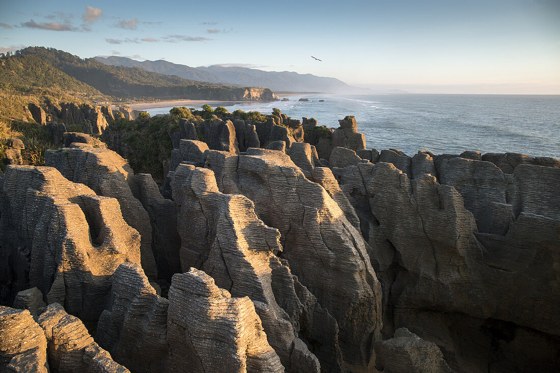 View of Pancake Rocks in Paparoa National Park on the West Coast of New Zealand.