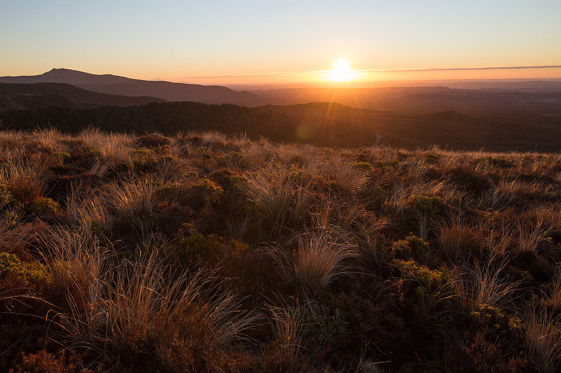 Sonnenuntergang über dem Tongariro National Park in Waikato, Neuseeland