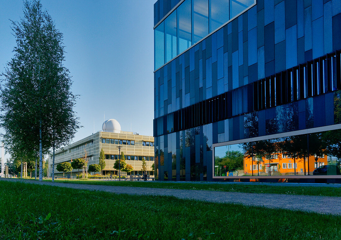 Universität Potsdam, Eiche, Potsdam, Land Brandenburg, Deutschland