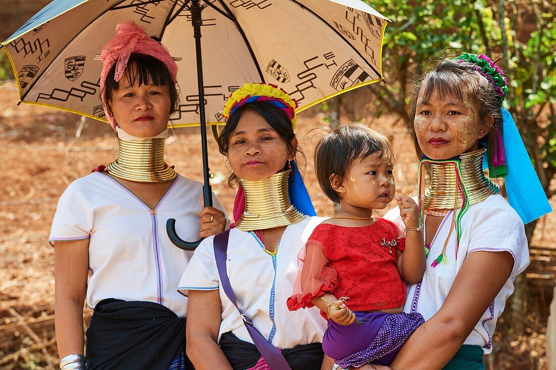 Frauen aus Kayan Lahwi bei der Dorffeier von Kay Htein Bo. Die Long Neck Kayan (auf burmesisch auch Padaung genannt) sind eine Untergruppe der Karen aus Burma. Sie tragen spiralförmige Windungen um ihren Hals und ihre Unterschenkel und werden auch 'Giraffenfrauen' genannt. Myanmar.
