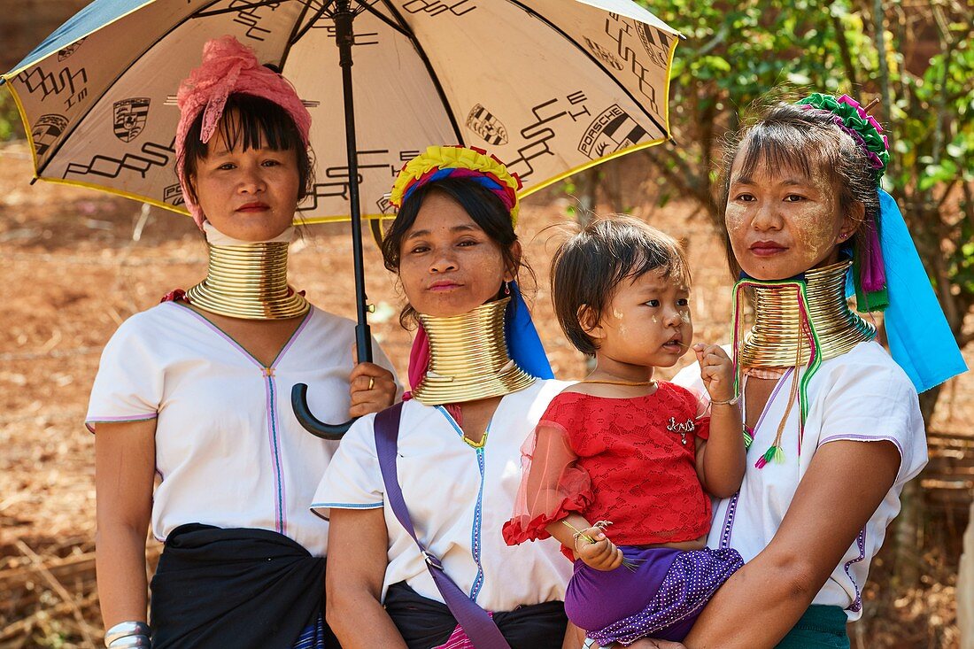 Kayan Lahwi women at the Kay Htein Bo village celebration. The Long Neck Kayan (also called Padaung in Burmese) are a sub-group of the Karen ethnic from Burma. They wear spiral coils around their neck and lower legs.They are also nicknamed "giraffe women“. The neck itself is not lengthened; the appearance of a stretched neck is created under the pressure of the collar, the ribs lower and the shoulders and clavicles collapse.The traditionnal Kay Htein Bo celebration is held once a year in April in most every Kayan village. It’s an opportunity for Kayan people from all different places and even 