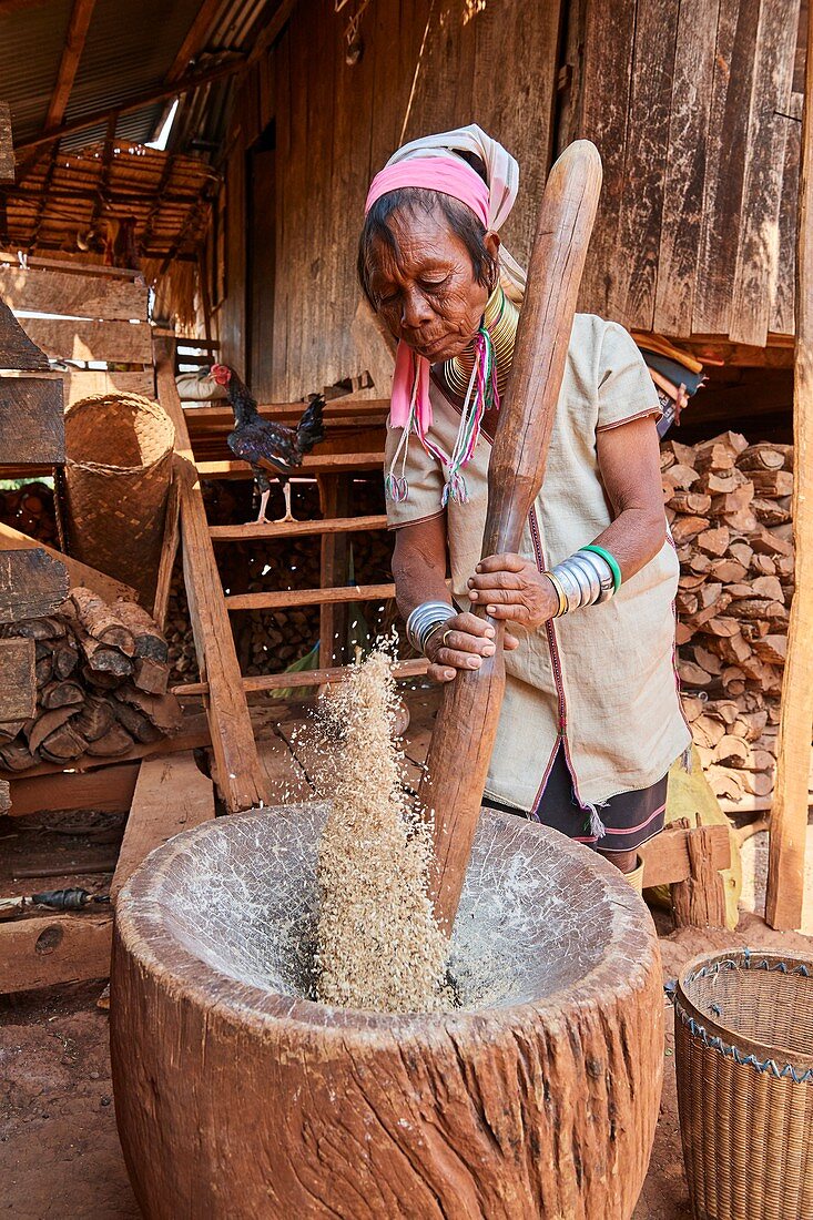 Kayan Lahwi Frau mit Messinghalsringen und traditioneller Kleidung, die in einem Holzmörser Reis stampft.  Pan Pet Region, Bundesstaat Kayah, Myanmar.
