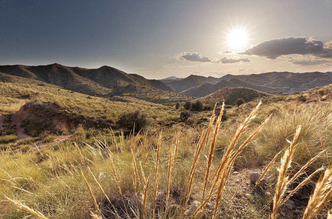 Landscape in La Font del Llop, municipality of Monforte del Cid, Alicante Spain.