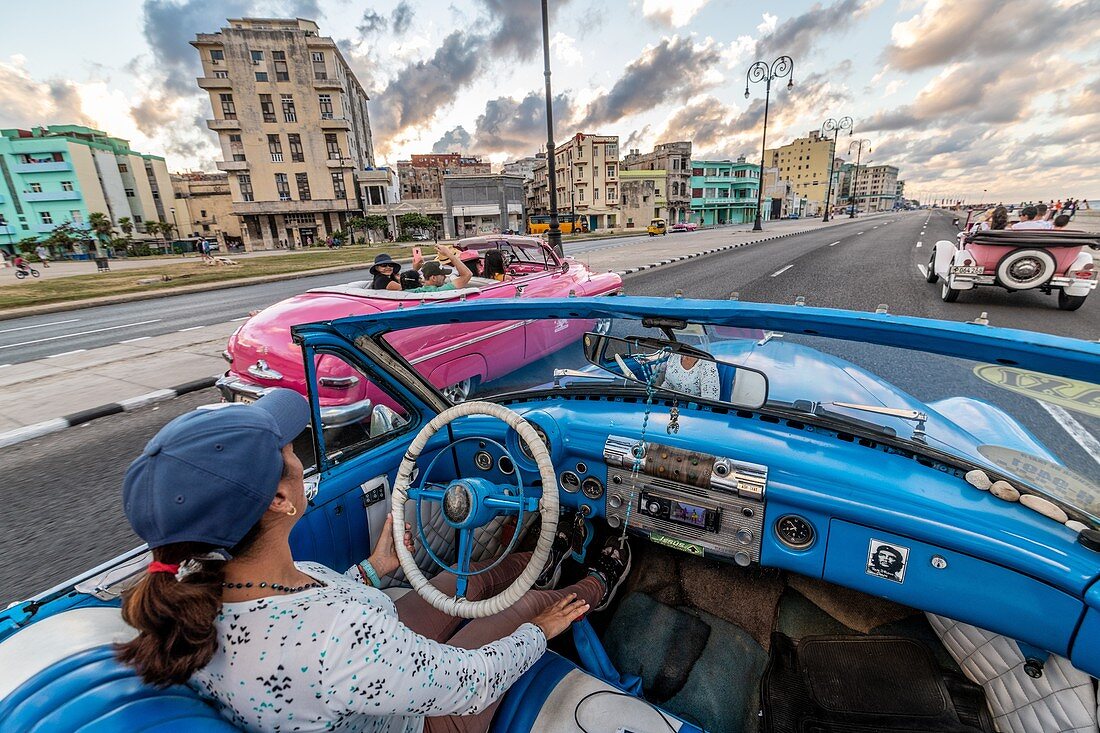 A classic blue American muscle car riding alongside some classic pink cars , Havana, Cuba