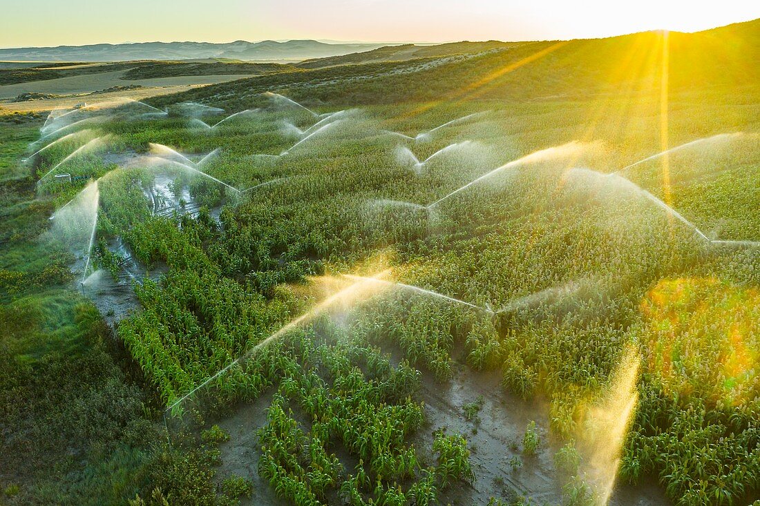 Farmland with watering. Aerial view. Navarre, Spain, Europe.