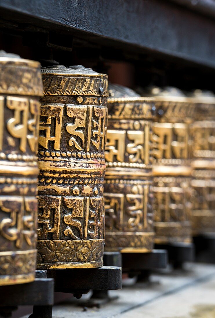 Prayer wheels at the Golden Temple (Hiranyabarna Mahavihar) in Lalitpur (Patan), Kathmandu valley, Nepal