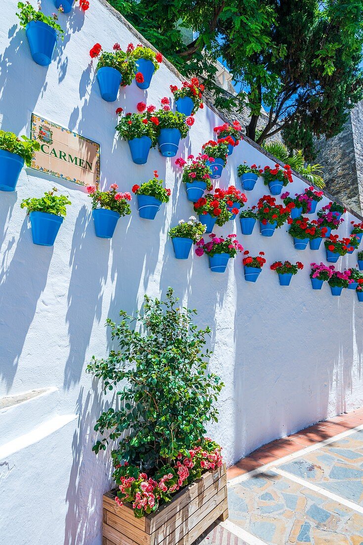 Marbella, Andalusien, Spanien, Europa