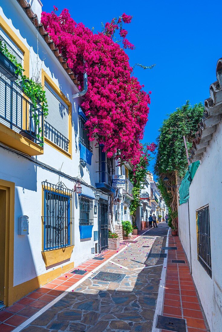 Marbella, Andalusien, Spanien, Europa