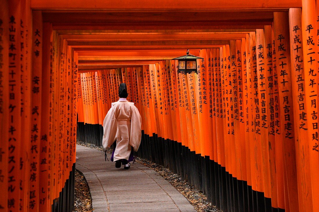 Japanischer Priester zu Fuß auf dem Hügel im berühmtesten Schrein Kyotos, dem Fushimi Inari-Schrein, Honshu, Japan, Asien