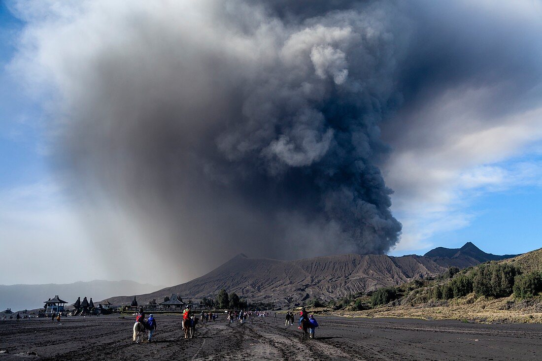 Mount Bromo (Eruption) und das Sandmeer, Nationalpark Bromo-Tengger-Semeru, Java, Indonesien