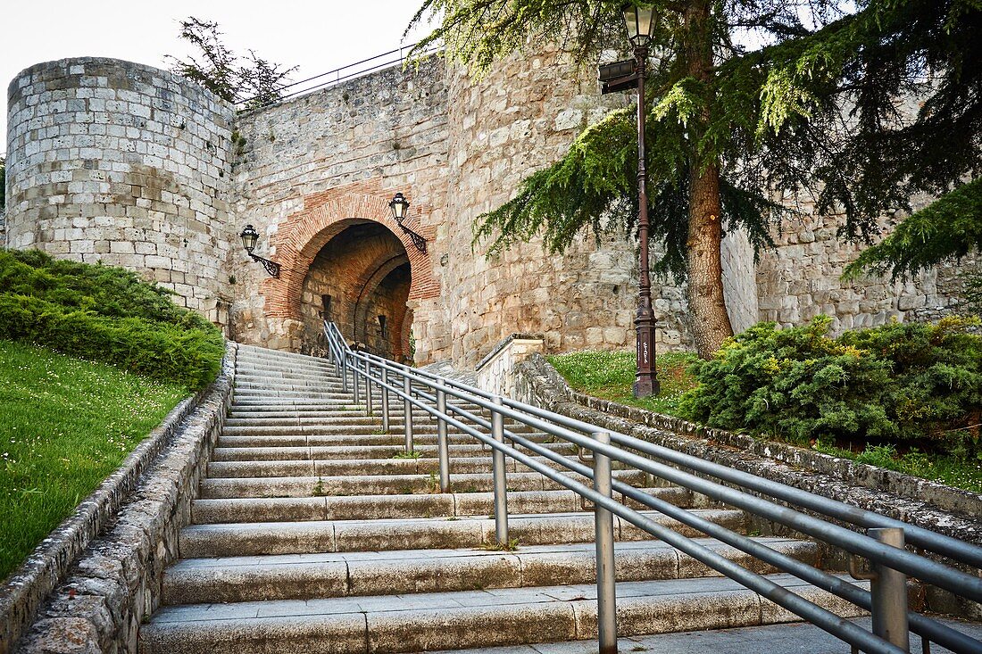 Der Bogen von San Martín ist eines der Tore der Stadtmauer der spanischen Stadt Burgos. Französischer Weg, Jakobsweg, Burgos, Kastilien und Leon, Spanien, Europa