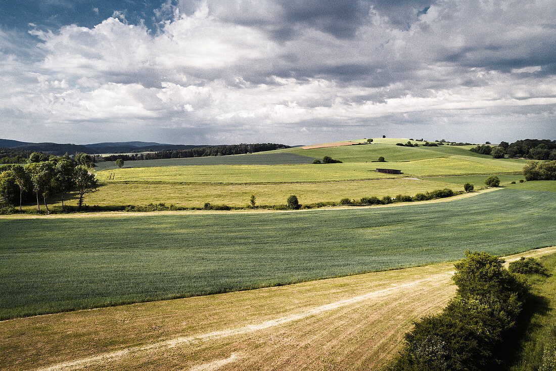 Fields near Sachsenhausen, Waldeck, Waldeck-Frankenberg, Hesse, Germany, Europe