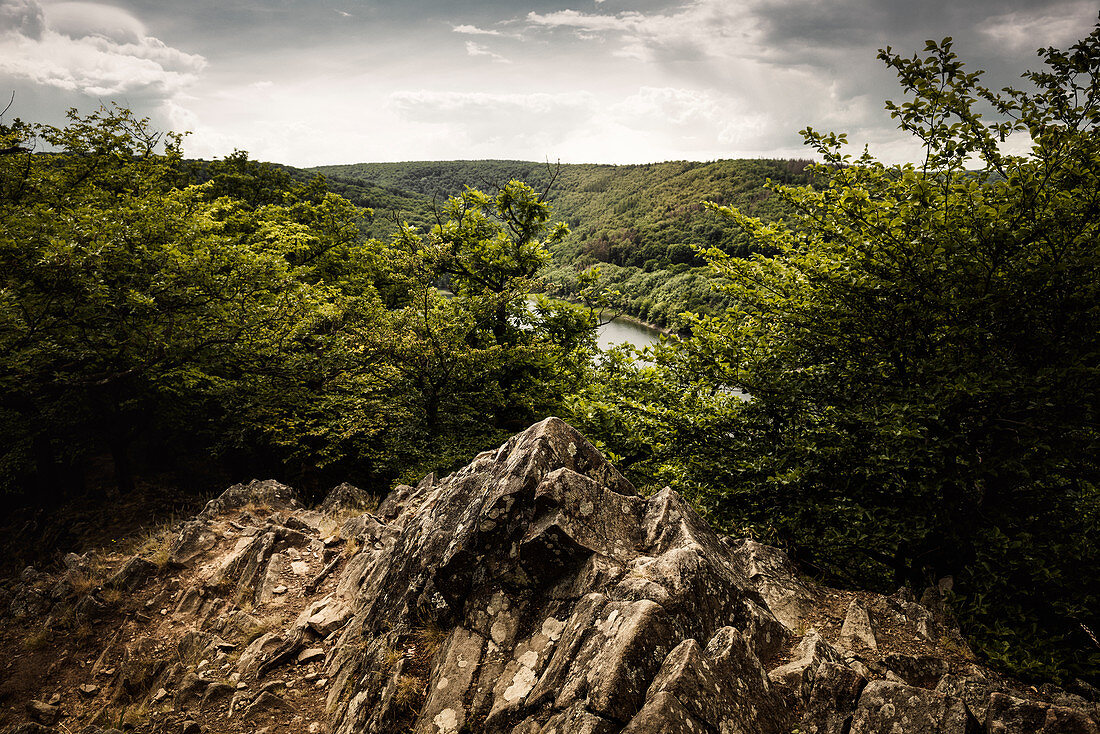 Blick vom Lindenberg zum Ringelsberg, Nationalpark Kellerwald-Edersee, Hessen, Deutschland, Europa