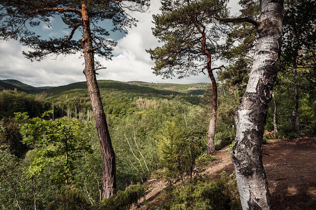 View at Christians Eck, Kellerwald-Edersee National Park, Hesse, Germany, Europe