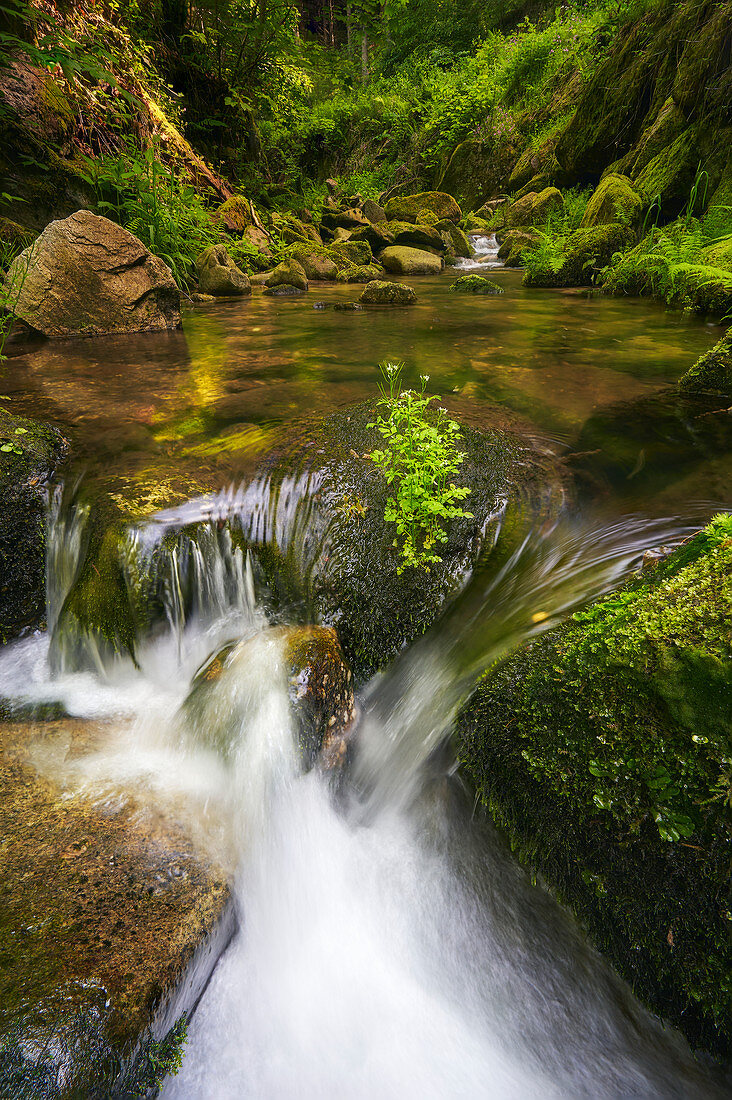 Kleiner Wasserfall in der Stillensteinklamm, Oberösterreich, Österreich