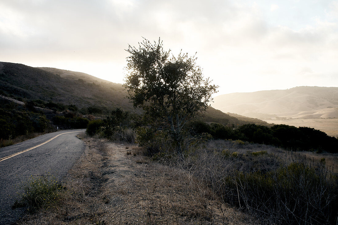 Road in the evening light on the way to Jalama Beach, California, USA.