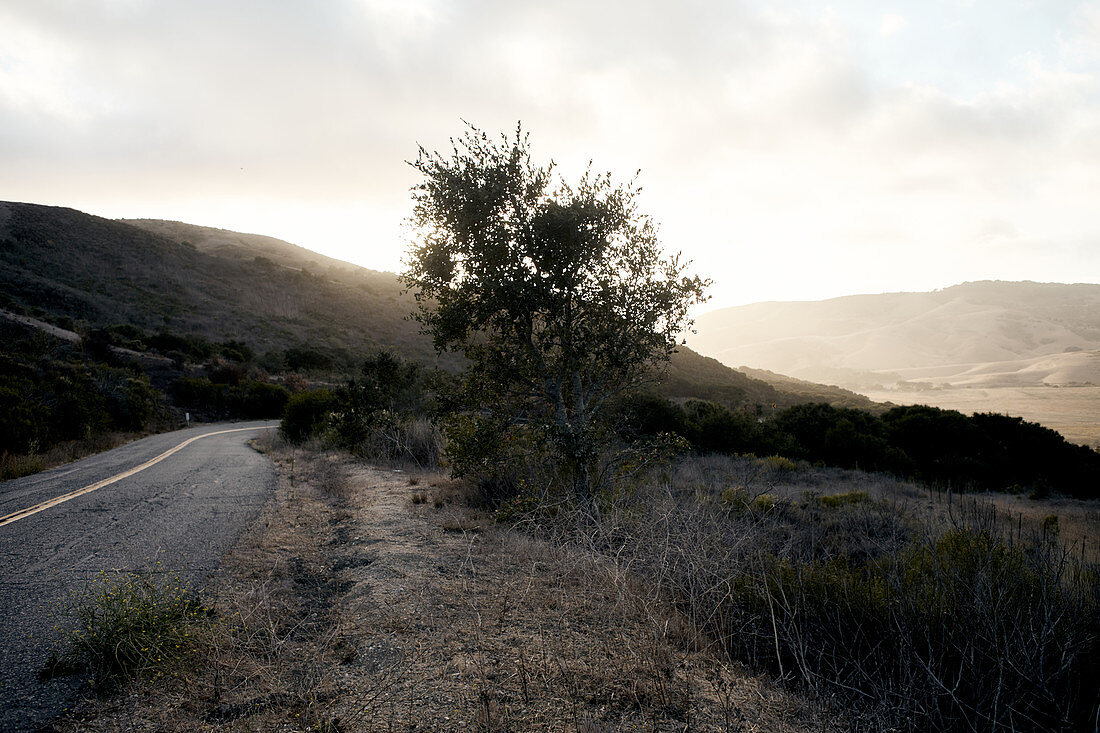 Strasse im Abendlicht auf dem Weg zu Jalama Beach, Kalifornien, USA.