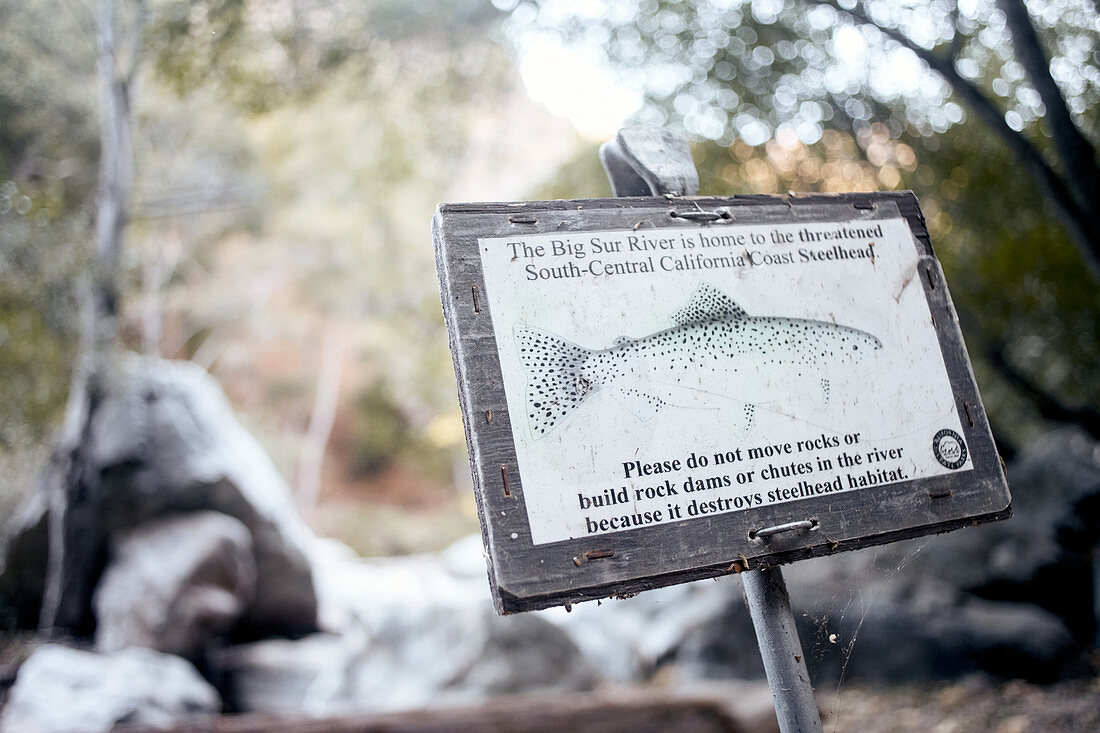 Hinweisschild für Wanderer zum Schutz der Regenbogenforelle am Big Sur River im Pfeiffer Big Sur State Park, Kalifornien, USA.