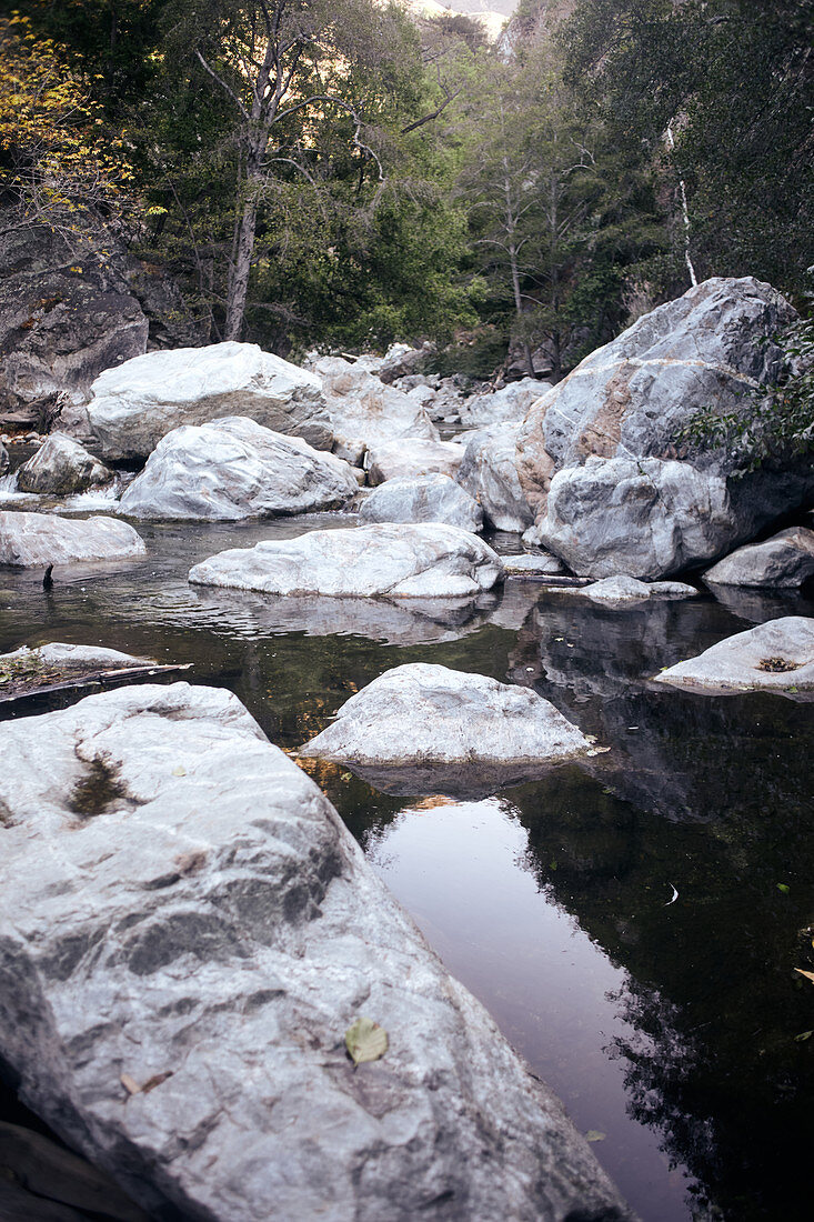 Stine and rocks in the Big Sur River in Pfeiffer Big Sur State Park, California, USA.