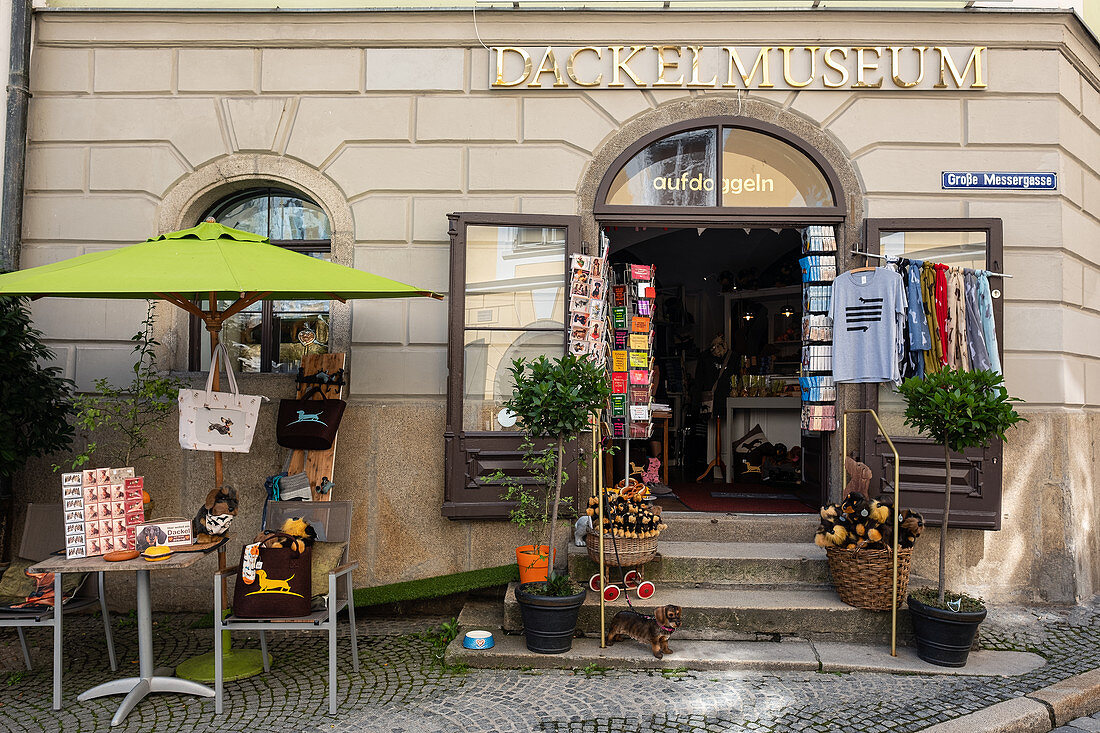 Blick auf das Dackelmuseum in Passau, Niederbayern, Bayern, Deutschland, Europa